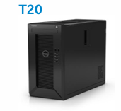 T20